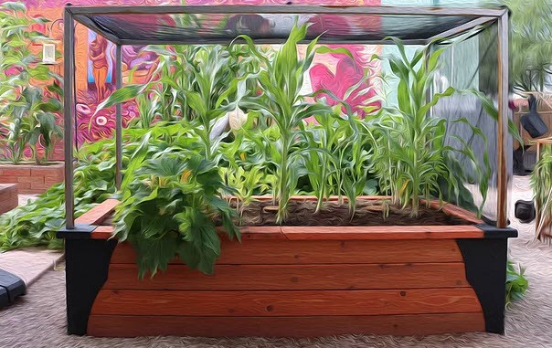 thrive and grow gardens