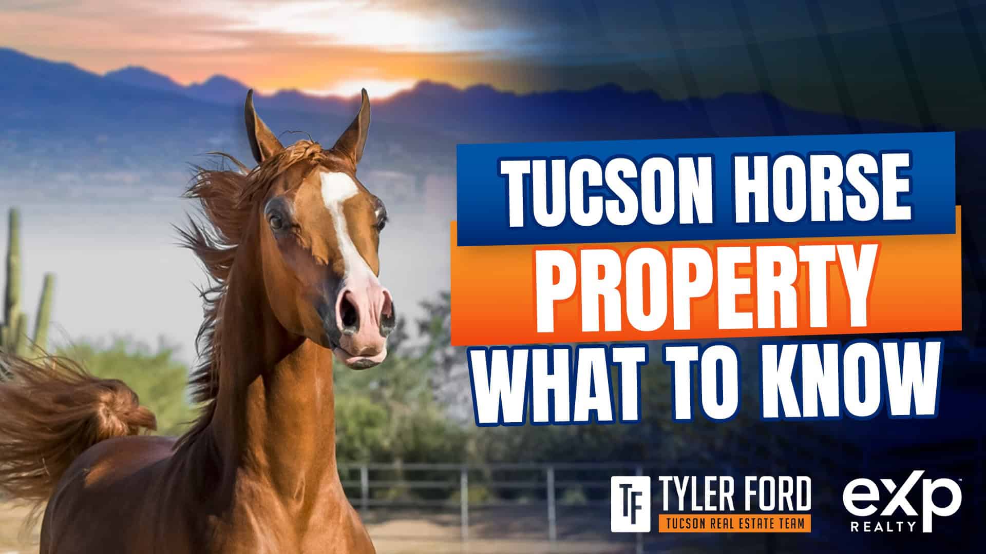 tucson horse property