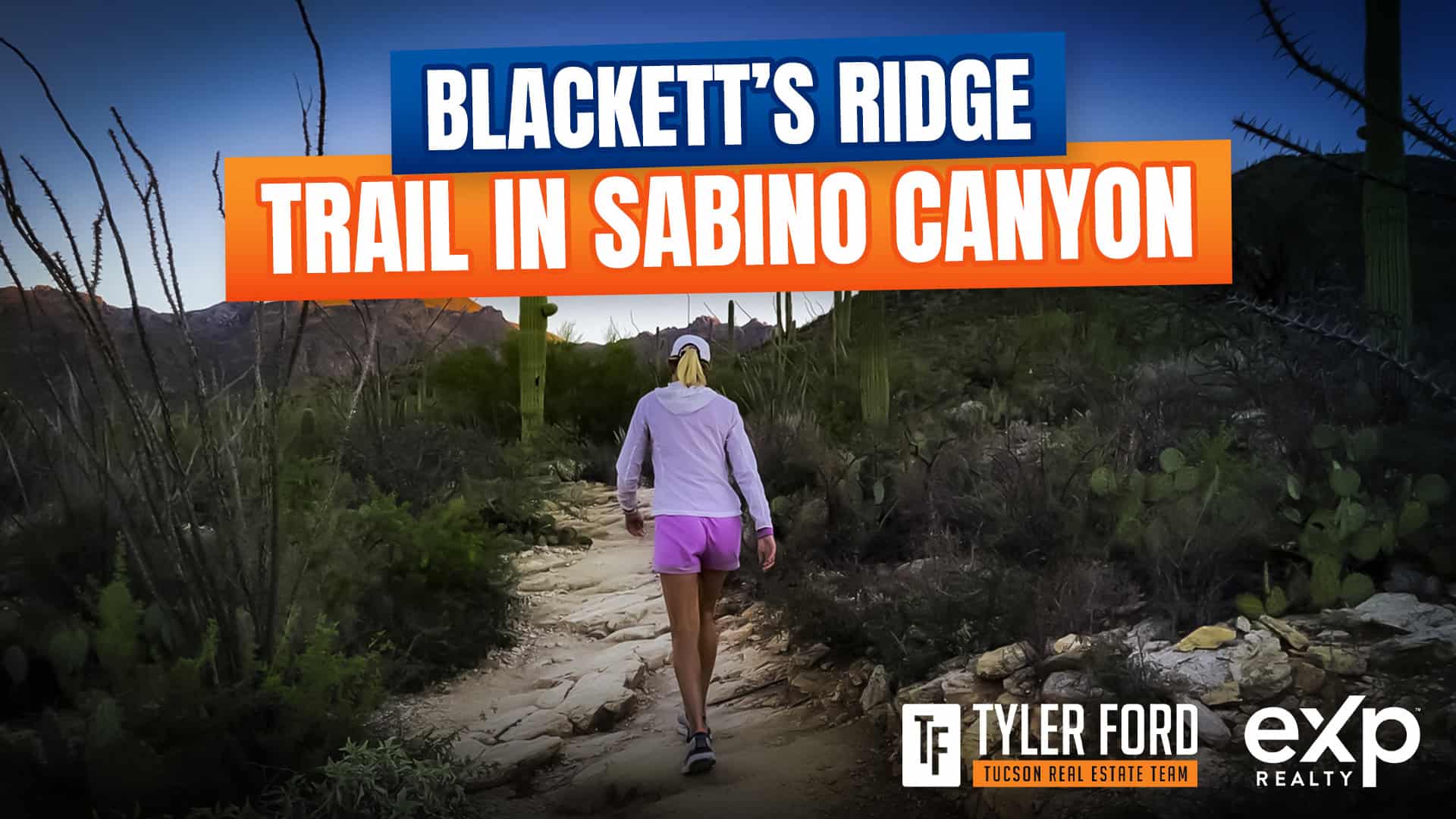 Blackett's Ridge Hiking Trail In Sabino Canyon