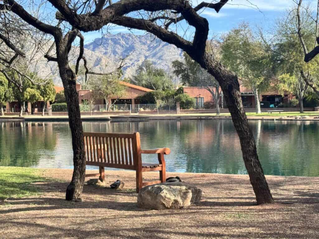 A serene view of Hill Farm lake in Tucson, Arizona, featuring resident ducks near a lakeside viewing bench with the Santa Cruz Mountains in the distance.