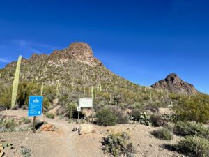 Wide view of the Sarasota Trailhead in Tucson Mountain Park with trail signage, towering saguaros, and two rugged desert peaks rising beneath a brilliant Arizona sky.